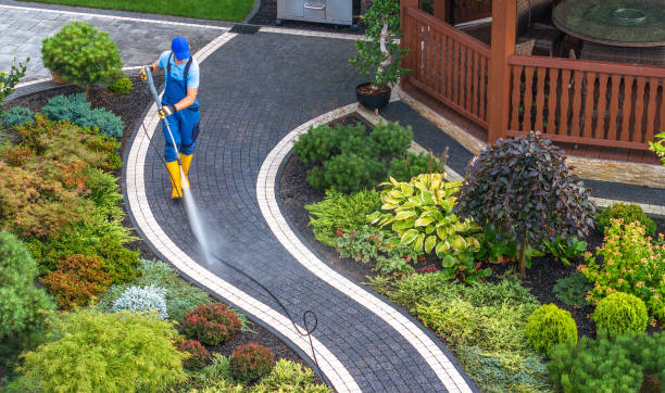 Best Fence Pressure Washing  in Sandy Oaks, TX